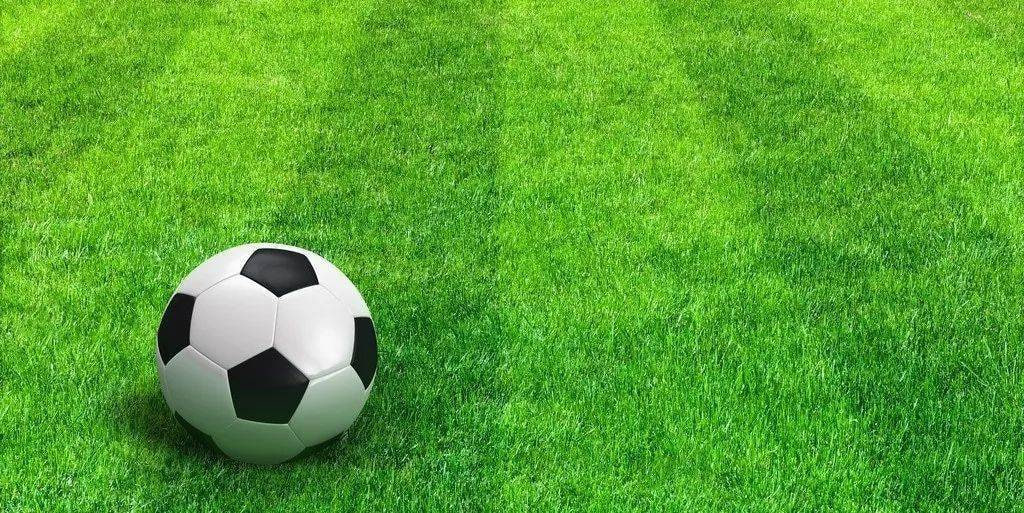 合买团队使用反馈